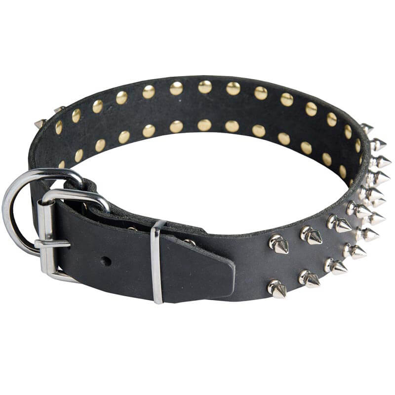 Spiked Leather Dog collar