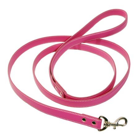 Pink Dog lead