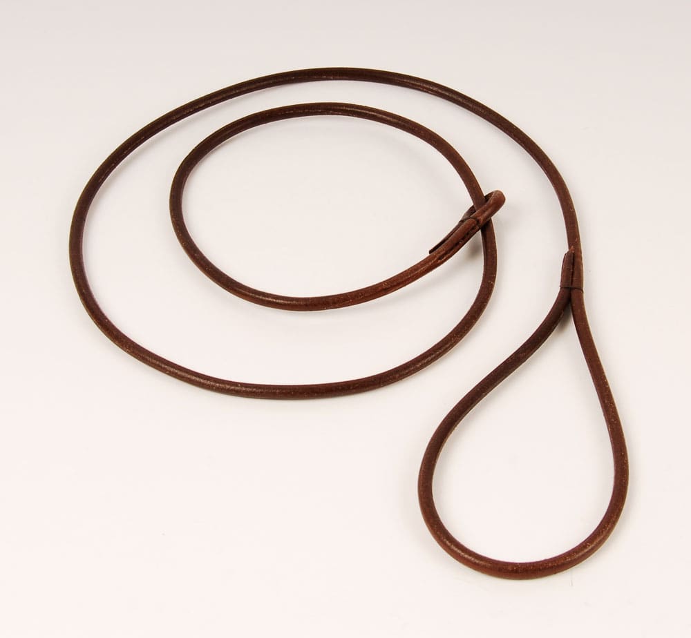 Leather Rolled Dog Lead