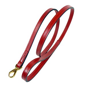 Wine Color Leather Dog Lead