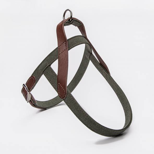 Dog Harness Canvas & Leather