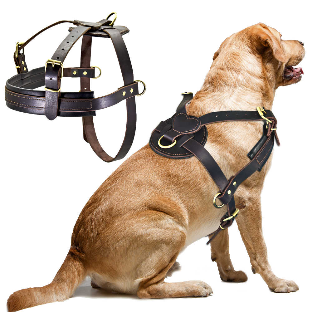 Leather Dog harness Best Comfort