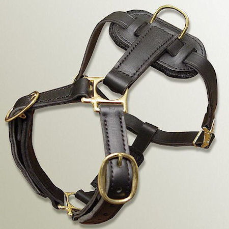 Leather dog Harness