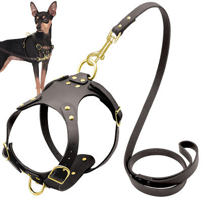 Black Leather Dog Harness