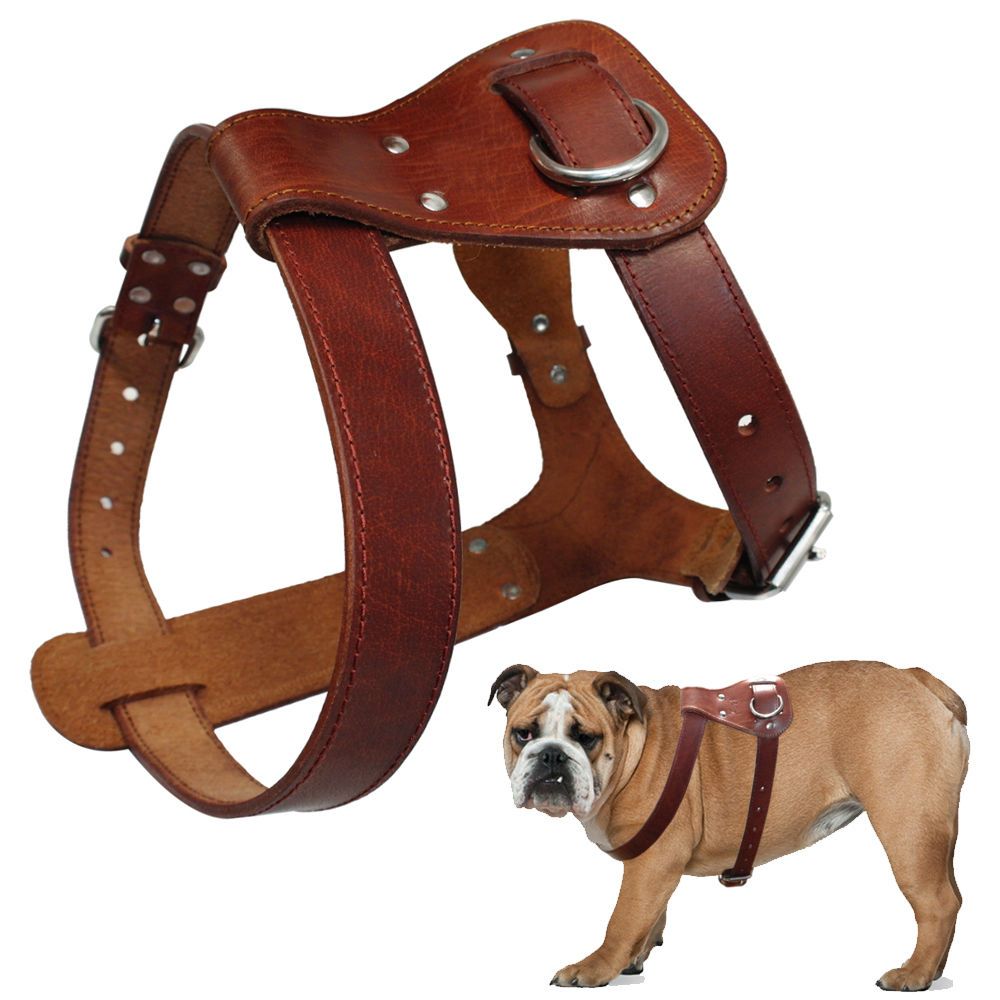 Leather Dog Harness Inside Soft Suede