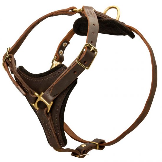 Leather Dog Harness With Brass Hardware