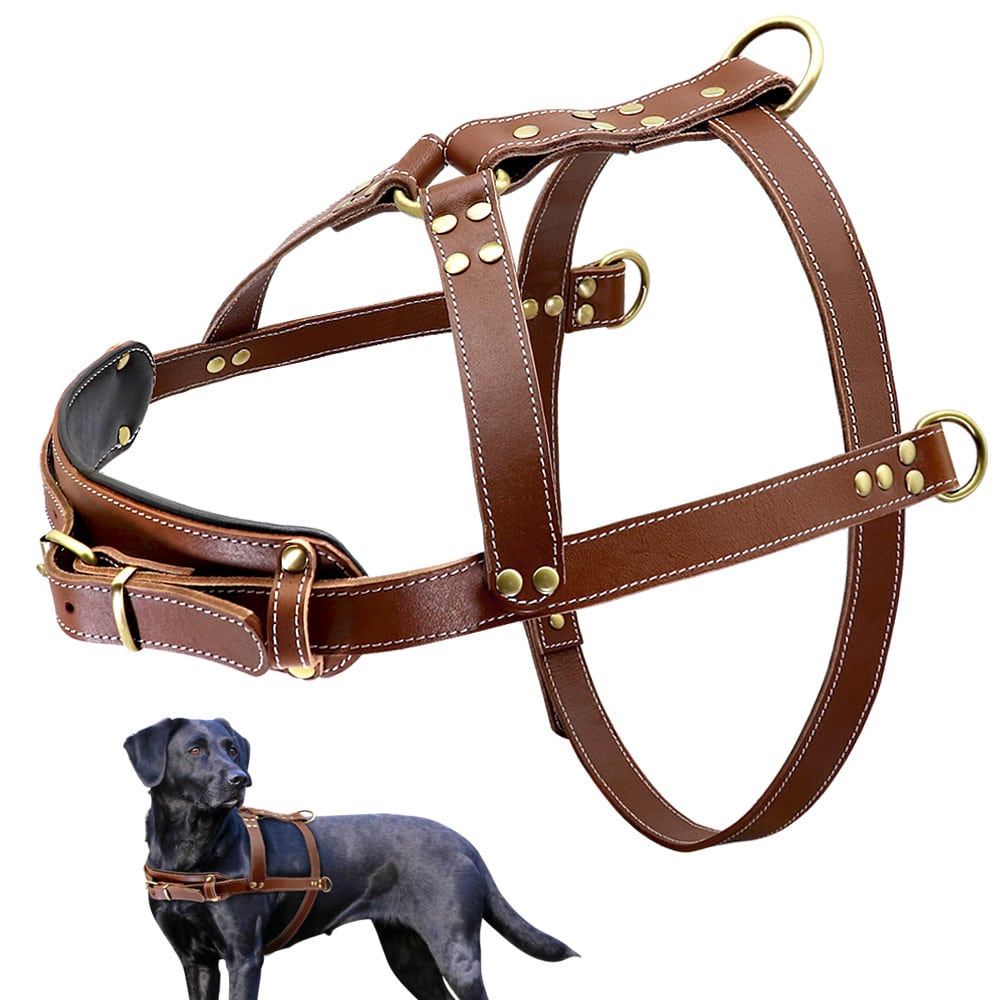 New Leather Dog Harness
