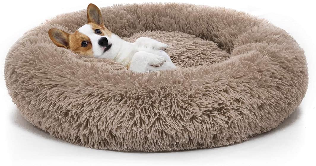 luxury Dog Bed